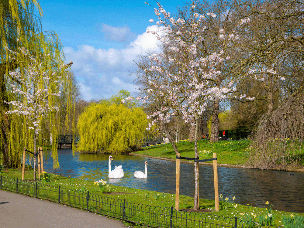 Best Parks in London - RentLondonFlat