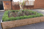 A planter box in the middle of the courtyard outside Kingfisher House on the Barrow Hill Estate which was looking neglected and lacking any proper plants has recently been transformed thanks to Cllr Rigby’s help. 